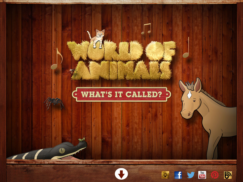 world of animals whats it called animal sounds animal facts
