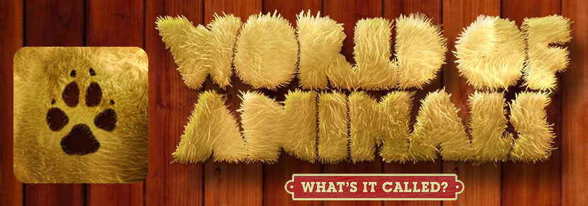world of animals whats it called animal sounds animal facts
