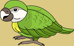 world of animals whats it called animal sounds animal facts